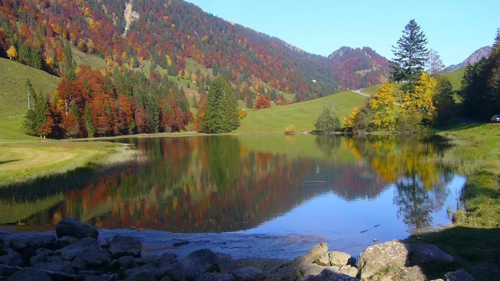 Ferienhuette Kaelberweide Lägenhet Hittisau Exteriör bild